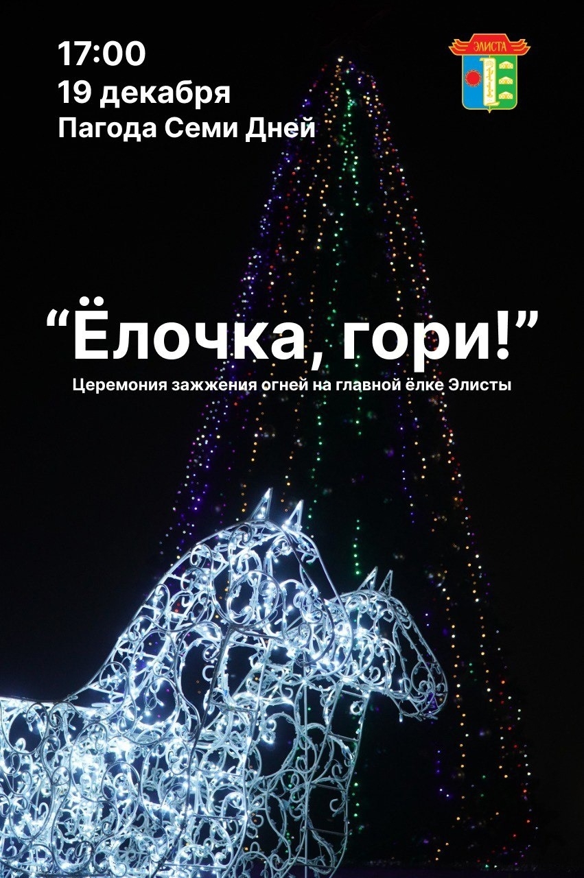 На главной елке Элисты зажгутся огни | 16.12.2022 | Новости Элисты -  БезФормата